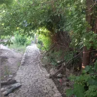 اجاره آلاچیق دنج
