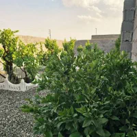 باغ-و-باغچه171متری-برق-قانونی-آب-4دیواربلند