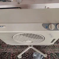 کولرابی زمینی سالم