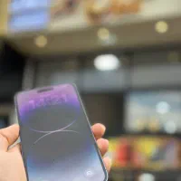 14 پرومکس