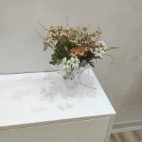 دوعدد گل وگلدان خارجی وزیبا