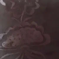 چادر عربی نو