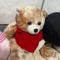 عروسک|اسباببازی بچه|رشت, سعدی (تختی)|دیوار