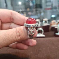 کلوخه آفریقایی