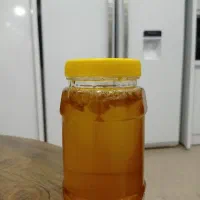 عسل کنار