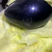 مفکات ، سنگ میخ . روحانی . جیوه ، مرهم