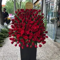 نیروی کار اموزی و نیروی کار گلفروشی