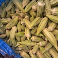 فروش بامیه خورشتی تازه
