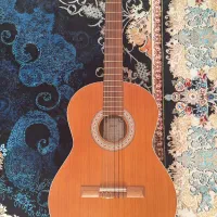 گیتار پارسی p40