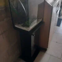 آکواریوم