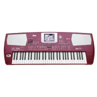 فروش KORG PA-500