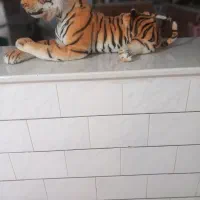 عروسک ببری