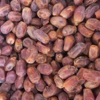 قصب زاهدی