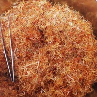 فروش ویژه ریشه زعفران با درصد بالای رنگدهی