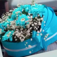 ساختباکس گل نوزادی