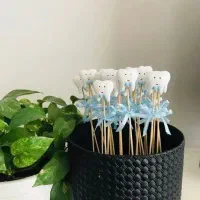 گیفت دندونی و تدی