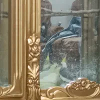 جفت عروس هلندی