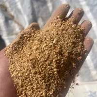 خوراک دام و طیور (گروه گندم)|لوازم جانبی حیوانات|ورامین, ورامین|دیوار