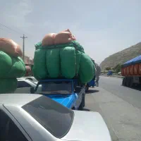 کاه گندم  تحویل انبار