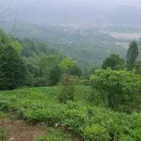 تور یکروزه