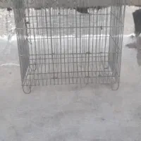 قفس پرنده
