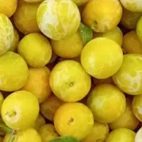 الو زرد واورگانیک بدون زره ای سمپاشی