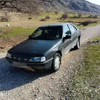 بازدید شادگان