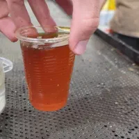 روغن سوخته  فست فودی