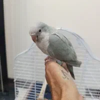 راهب
