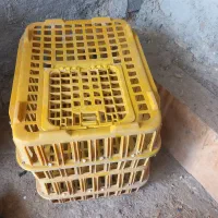 قفس مرغ