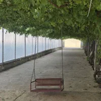 فروش باغ ویلای استثنایی با کاربری رفاهی و اقتصادی