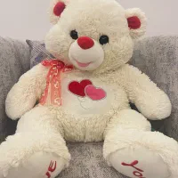 عروسک خرس شاسخین