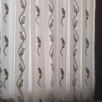 پرده