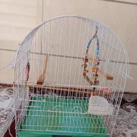 وسایل عروس هلندی