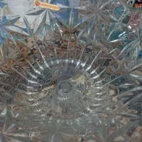 میوه خوری