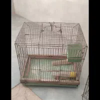 قفس پرنده