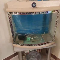 آکواریم ماهی