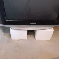 تلویزیون