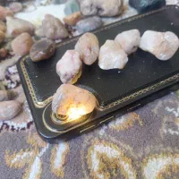سنگ|کلکسیون اشیاء عتیقه|پرند, فاز ۵|دیوار