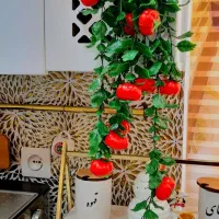 لوازم خانه وآشپزخانه