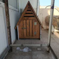 کلبه سگ