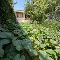 خانه-باغ-مستقل-داخل-بافت-سندشش-دانگ-عرصه-اعیان