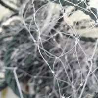 ماهیگیری