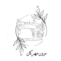 اتوکار خانم و مادگی زن