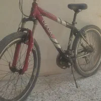 دوچرخه حرفه ایی ویوا ۲۶