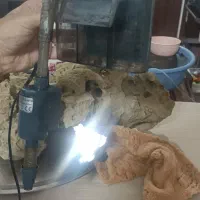آکواریم ماهی گیاه طبیعی