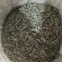 پونه خشک