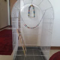 قفس ۴ لیوان در حد نو