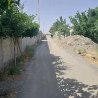 زمین باغی