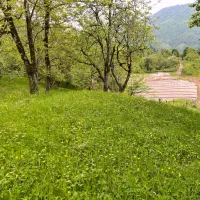فروش زمین ویلایی در حویق در دل جنگل
